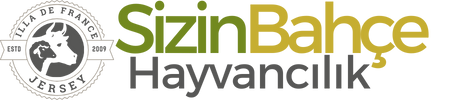 Sizin Bahçe Gurup – Hayvancılık